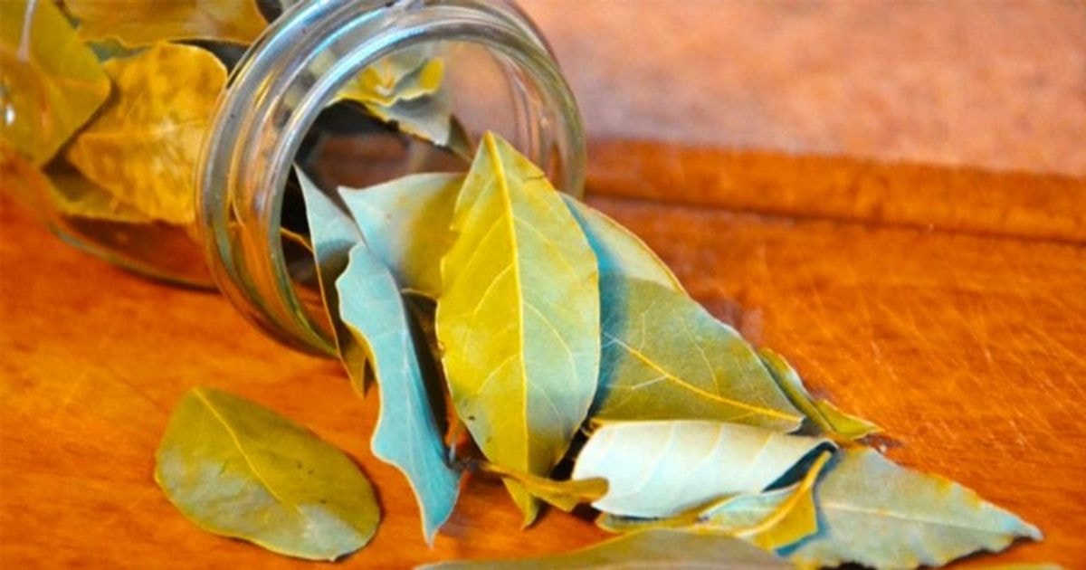 Namuose padekite lauro lapą ir stebėkite, kas nutiks po 10 minučių
