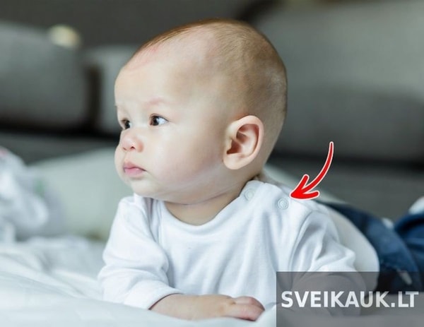 nuotrauka