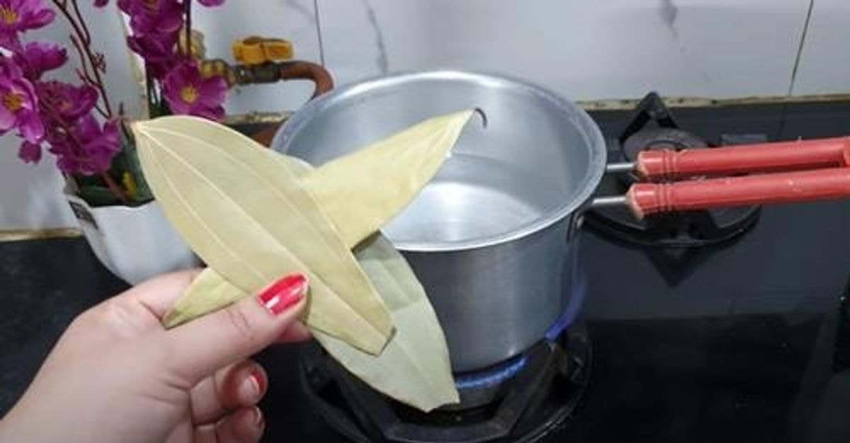 išvirkite lauro lapus 
