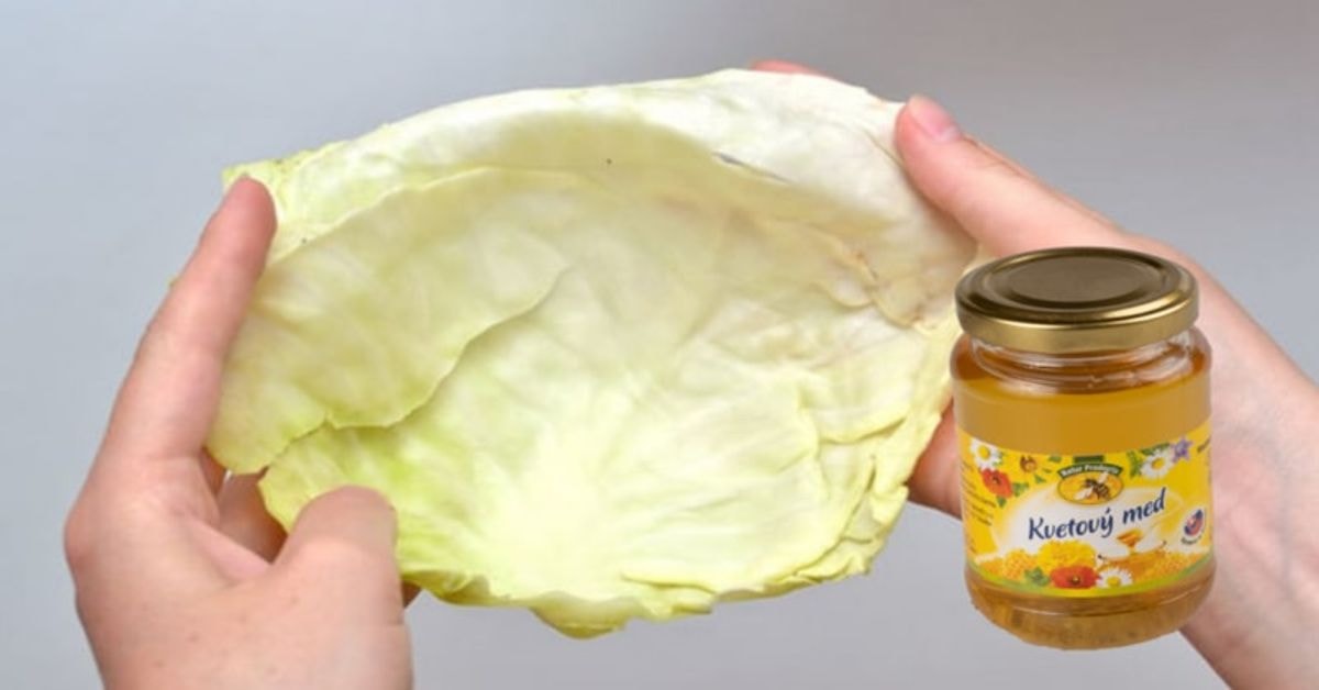 kopūstų lapai ir medus