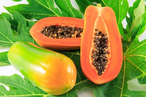 Papaja