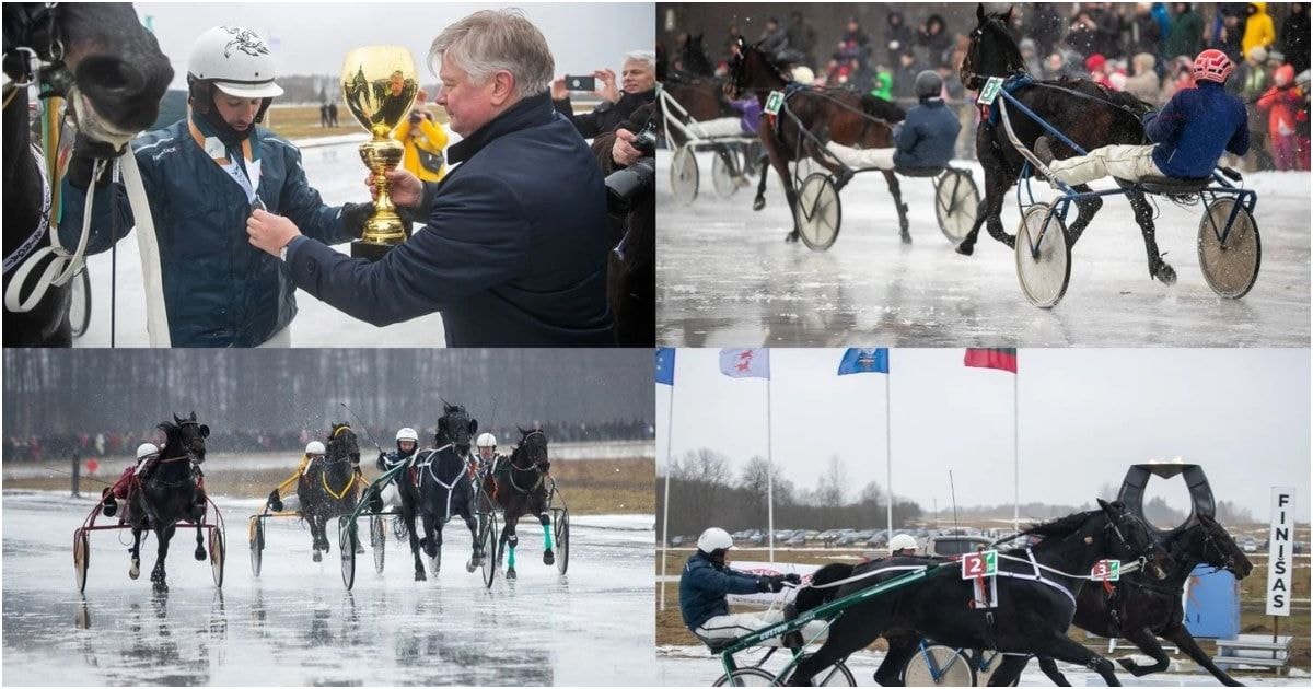 sartų žirgų lenktynės