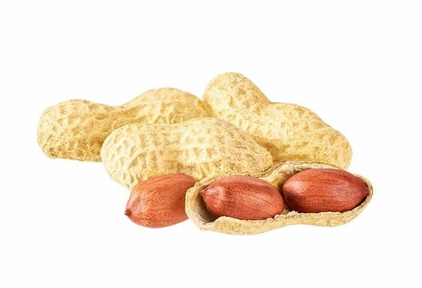 Žemės riešutai