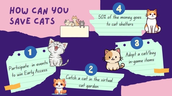 how can you save cats