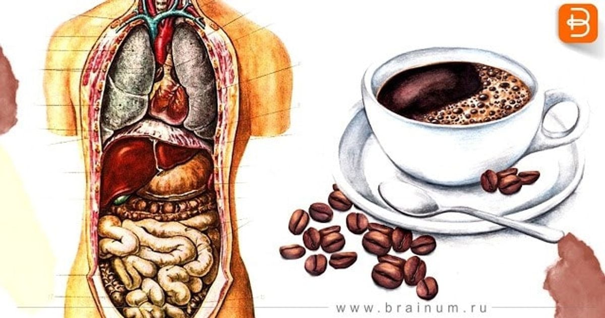 Rytais geriate kavą tuščiu skrandžiu? Perskaitykite šį straipsnį!