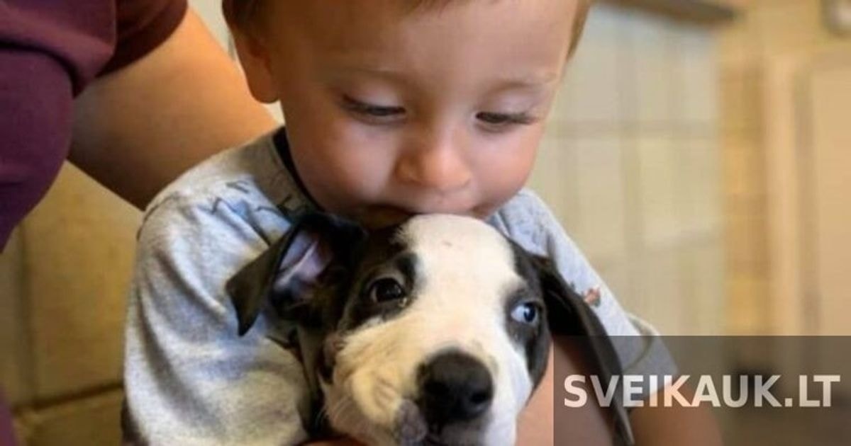 Berniukas su patologija gavo dovanų šunį su tokia pačia liga