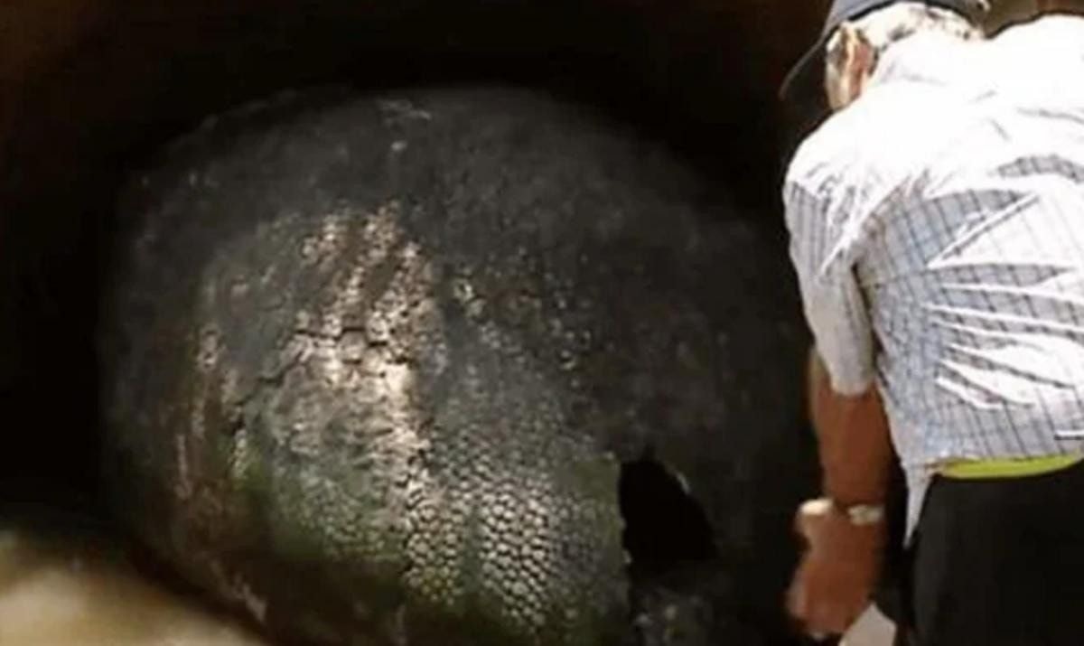 Žmogus pamanė radęs dinozauro kiaušinį, tačiau radinys dar labiau nustebino