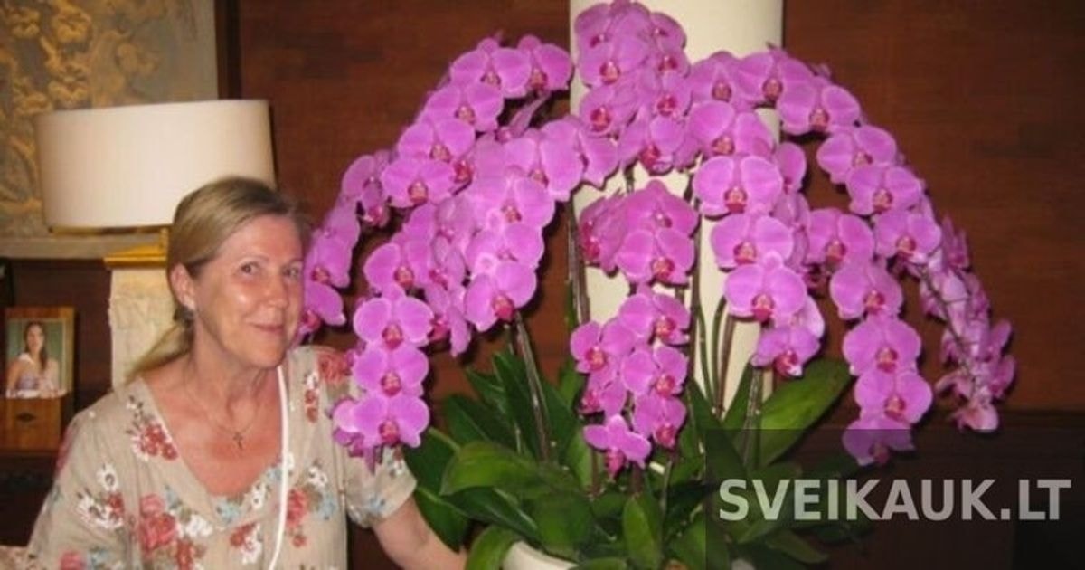 Moteris išprašė trąšų recepto gėlių parduotuvėje. Štai kaip išaugo jos orchidėjos