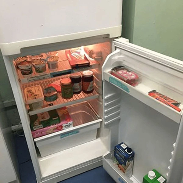 Atnaujintas šaldytuvas