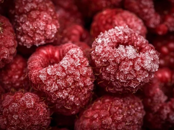 freeze raspberries