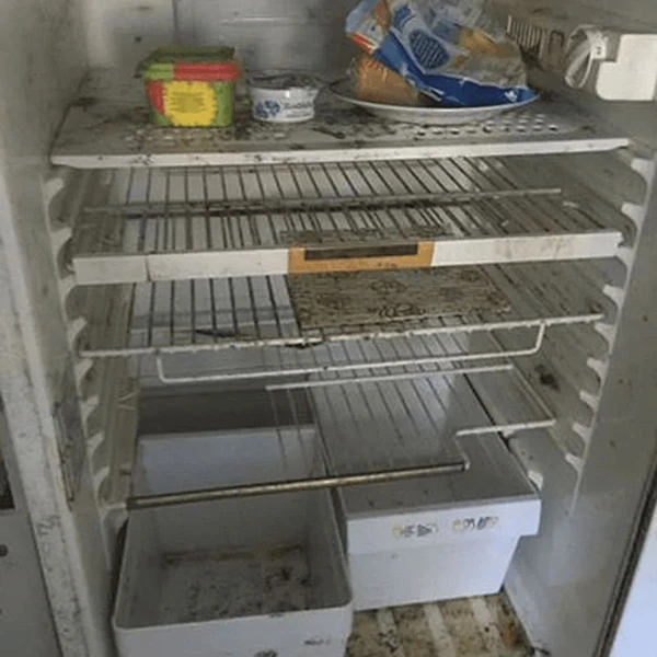 Apleistas šaldytuvas