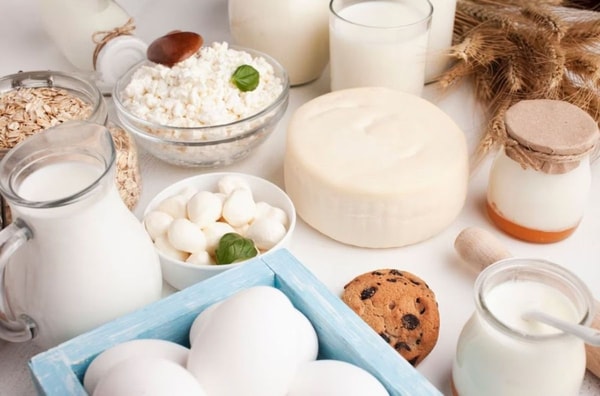 milk products is a great source of calcium